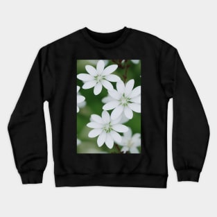 Beautiful White Flowers, for all those who love nature #138 Crewneck Sweatshirt
